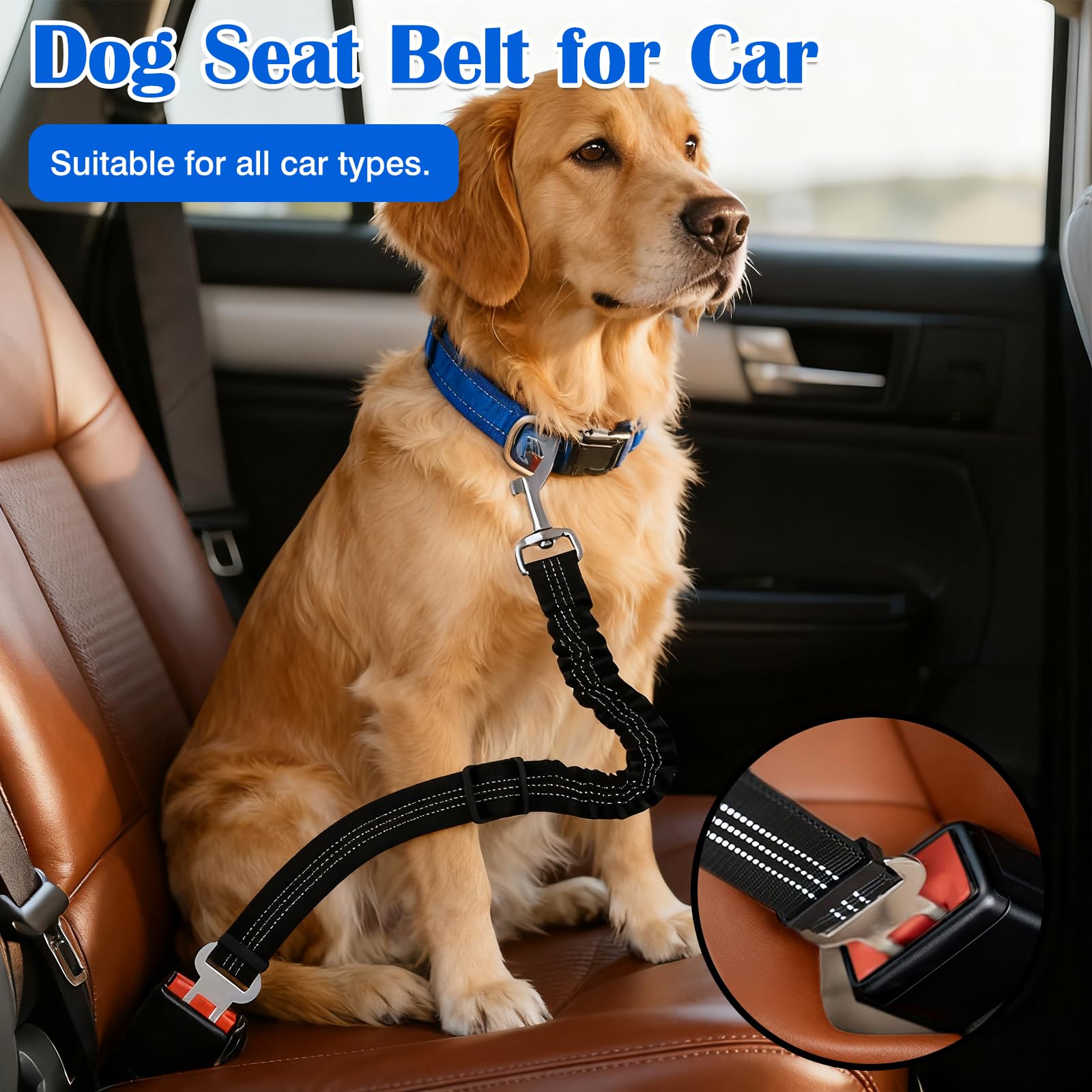 Dog Car Belt